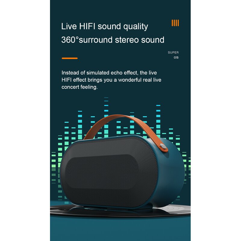 Karaoke Microphone Factory - 2025 New P10 BT Portable Speaker