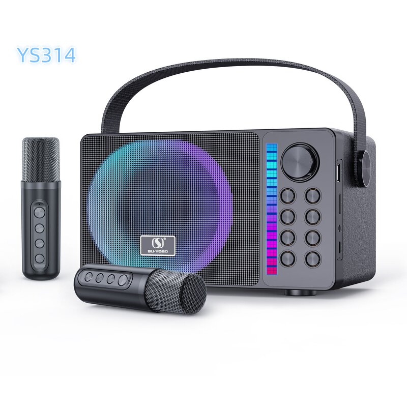 Microphone Speaker Factory - Manufacturer Supplier Outdoor Waterproof DJ Ys314