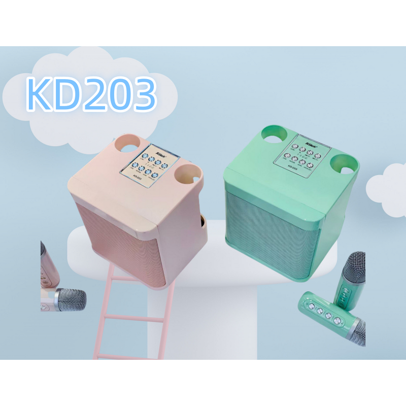 Outdoor DJ Microphone Speaker Factory - Reasonable Price Portable Party