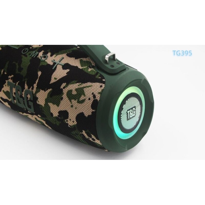 Party Speaker Factory - OEM/ODM Wholesale High Quality 10Inch TG395