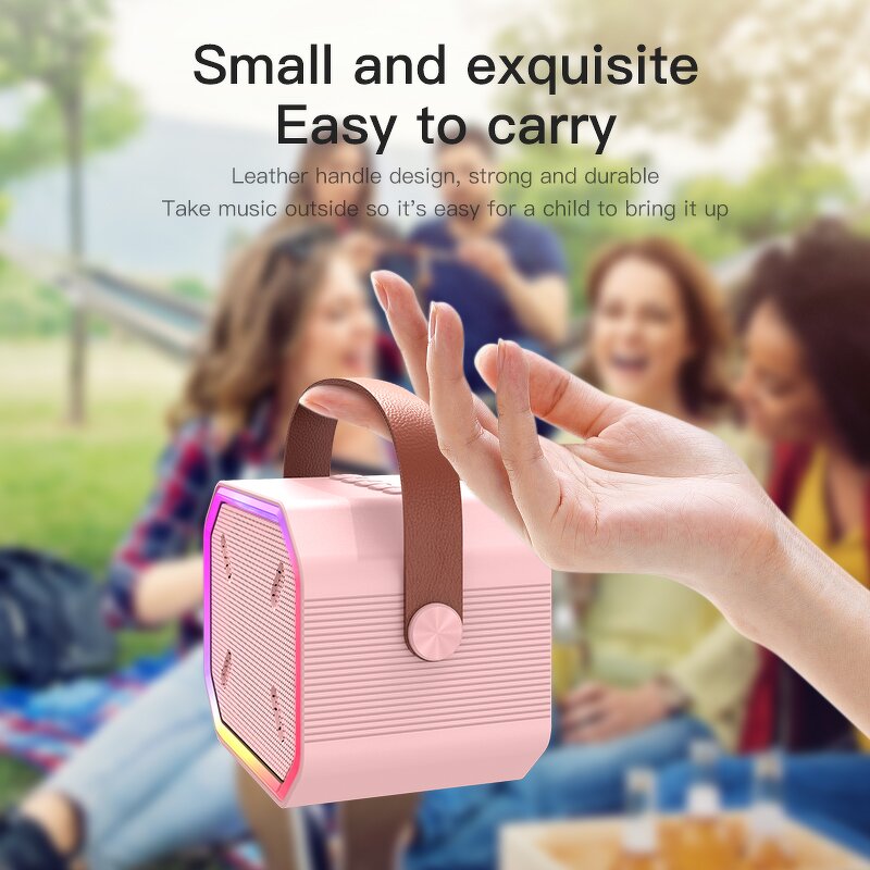 Portable Karaoke Speaker Factory - Best Gift LED Mini with 2 Wireless Mics