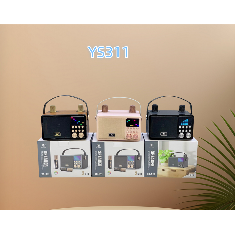 Outdoor Microphone Speaker Factory - High Quality Wholesale Portable DJ Ys311