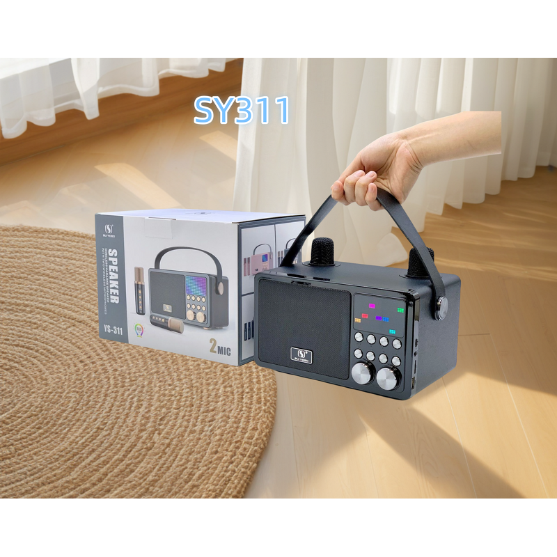 Outdoor Microphone Speaker Factory - High Quality Wholesale Portable DJ Ys311