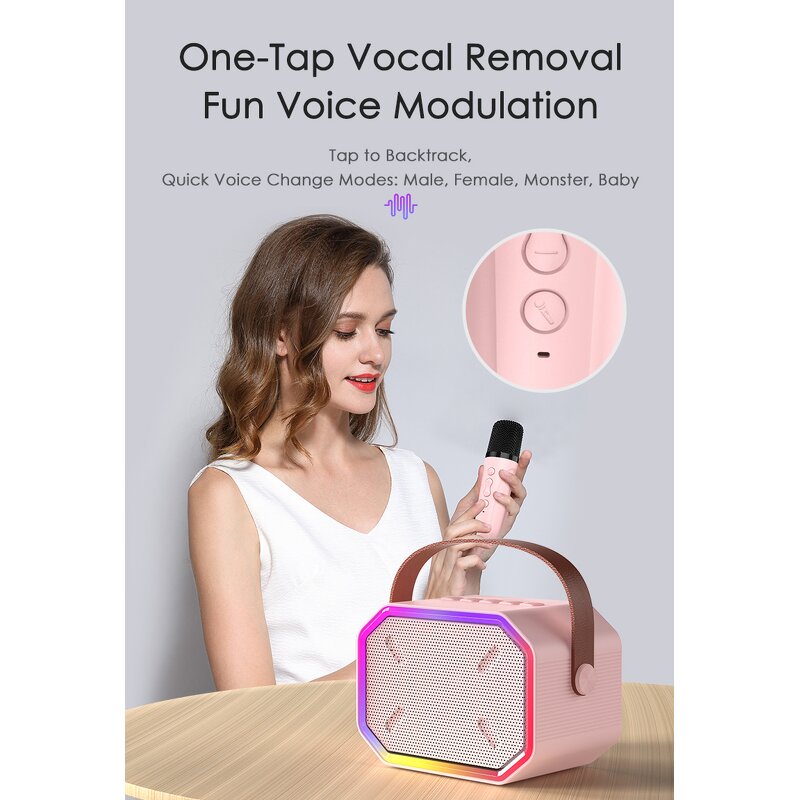 Portable Karaoke Speaker Factory - Best Gift LED Mini with 2 Wireless Mics