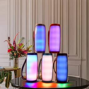 Wireless RGB Speaker Factory - OEM/ODM 10W Power Charging Battery Karaoke