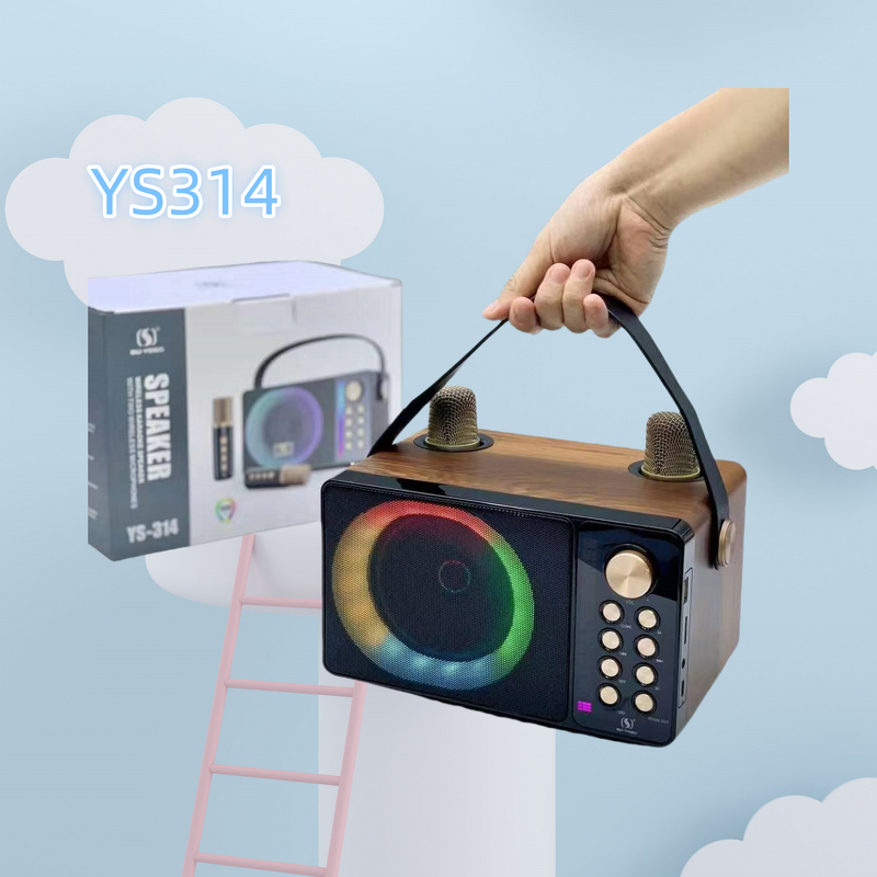 Microphone Speaker Factory - Manufacturer Supplier Outdoor Waterproof DJ Ys314