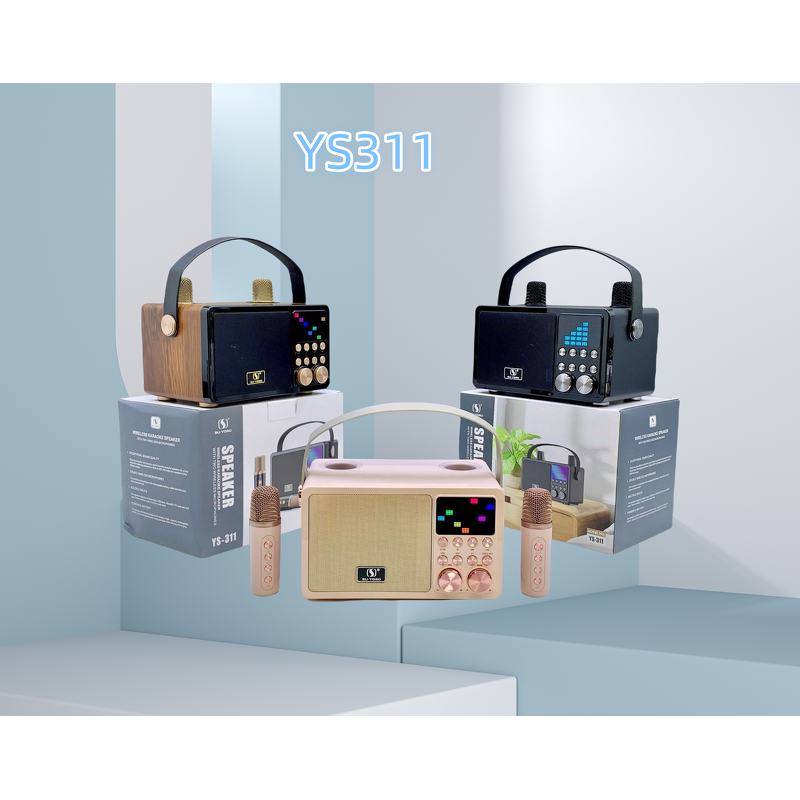 Outdoor Microphone Speaker Factory - High Quality Wholesale Portable DJ Ys311