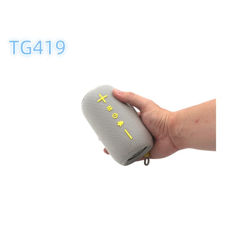 Outdoor Party Speaker Factory - Lower Price Portable BT TG419
