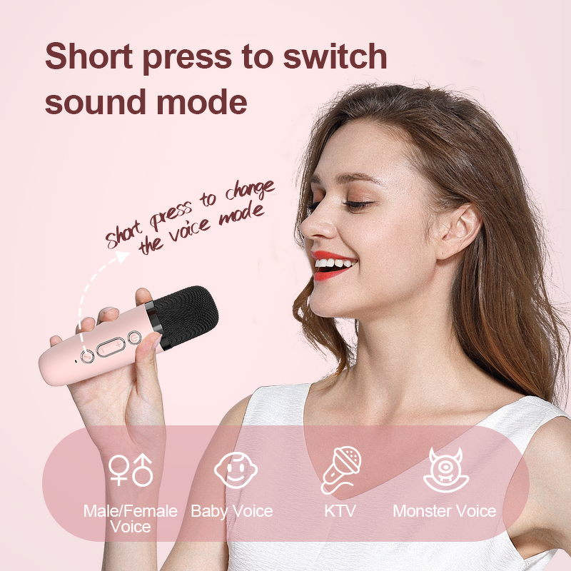 Karaoke Machine Speaker Factory - 2025 P2 with Microphone Wholesale Mini Portable