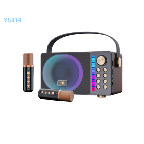 Microphone Speaker Factory - Manufacturer Supplier Outdoor Waterproof DJ Ys314