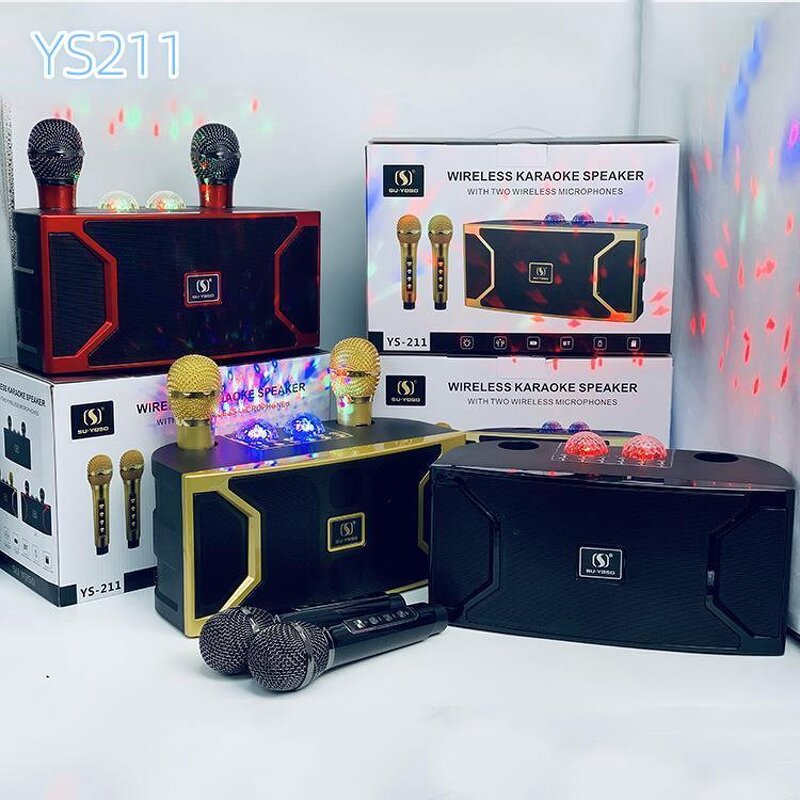 Wireless DJ Microphone Speaker Factory - Competitive Price Portable Smart