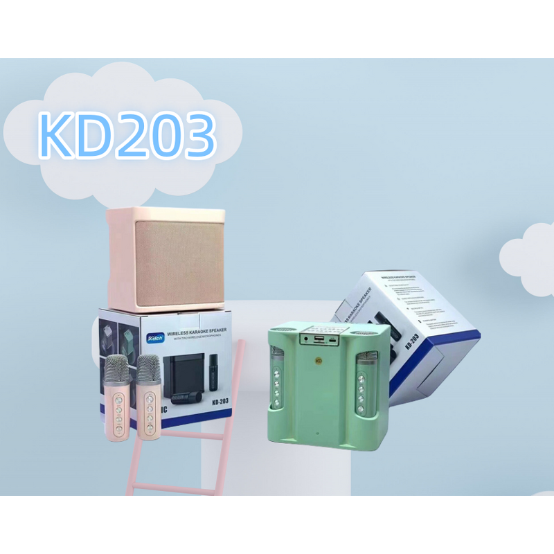 Outdoor DJ Microphone Speaker Factory - Reasonable Price Portable Party