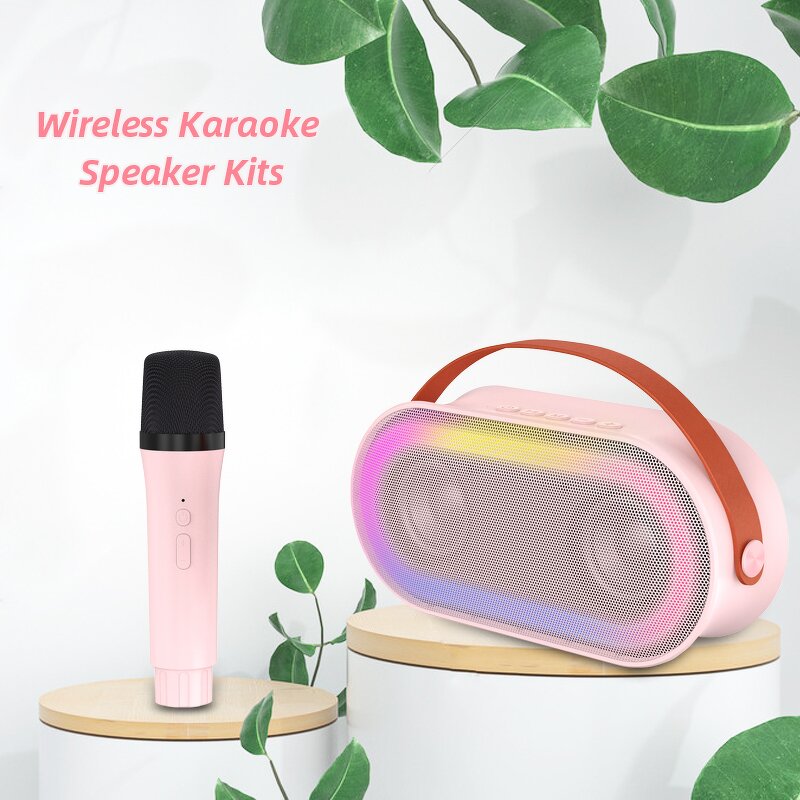 Portable LED Speaker Factory - P6 with 2 Wireless Mics Outdoor Home