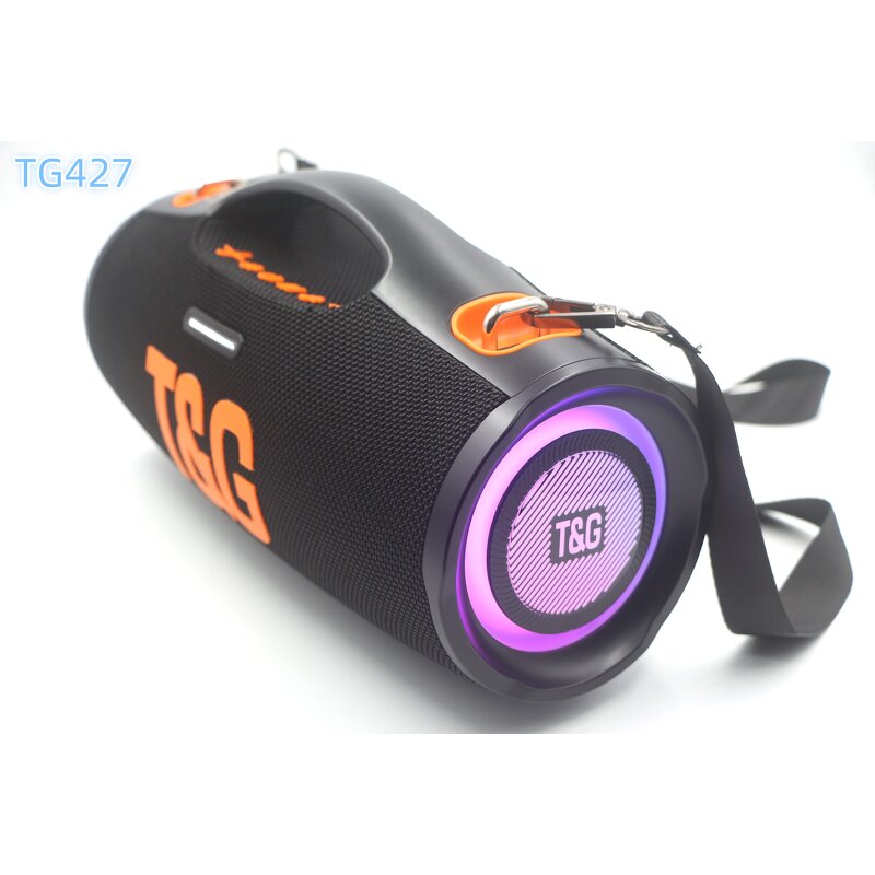 Party Speaker Factory - OEM/ODM Professional Manufacturer 15 Inch TG427