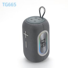 Portable Party Speaker Factory - Quick Custom Label BT Tweeter TG665