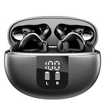 Translator Earbuds