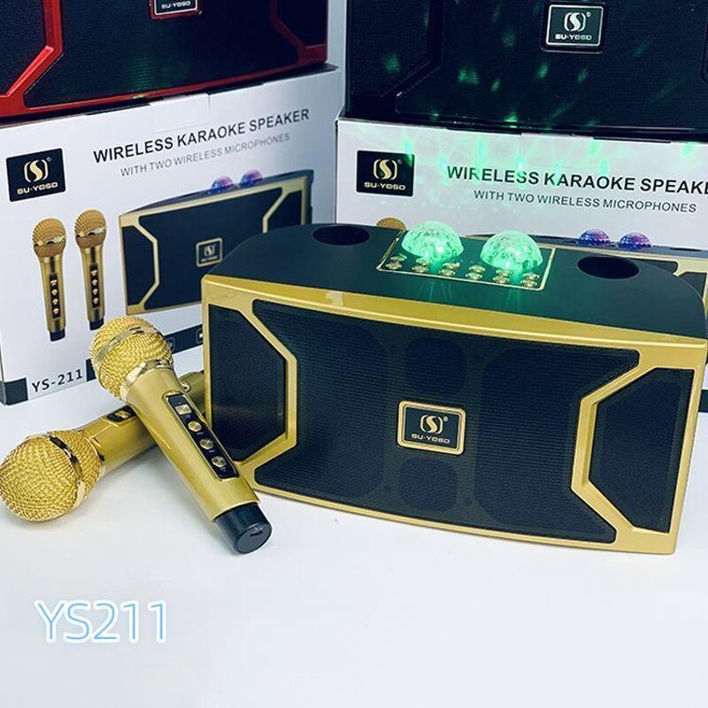 Wireless DJ Microphone Speaker Factory - Competitive Price Portable Smart