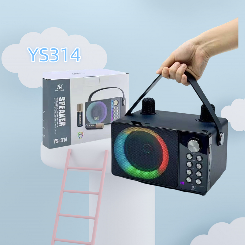 Microphone Speaker Factory - Manufacturer Supplier Outdoor Waterproof DJ Ys314