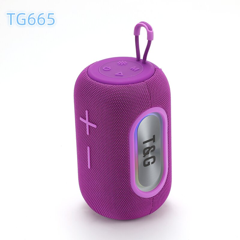 Portable Party Speaker Factory - Quick Custom Label BT Tweeter TG665