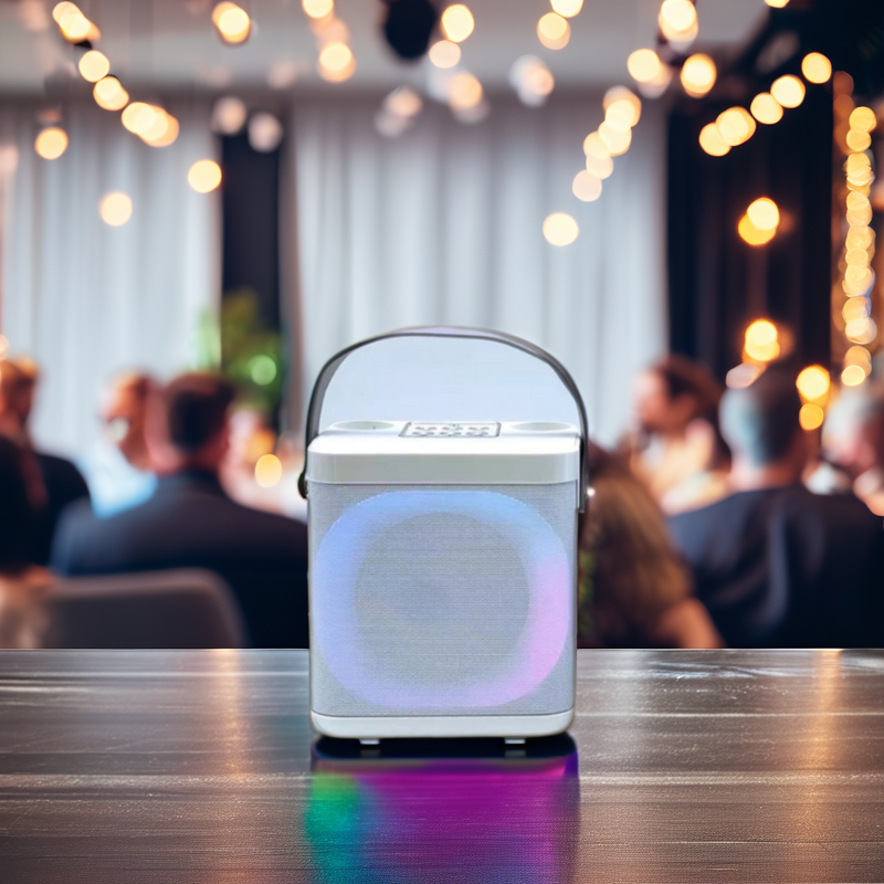 Wireless Microphone Speaker Factory - Hot Sale Portable Party Speaker