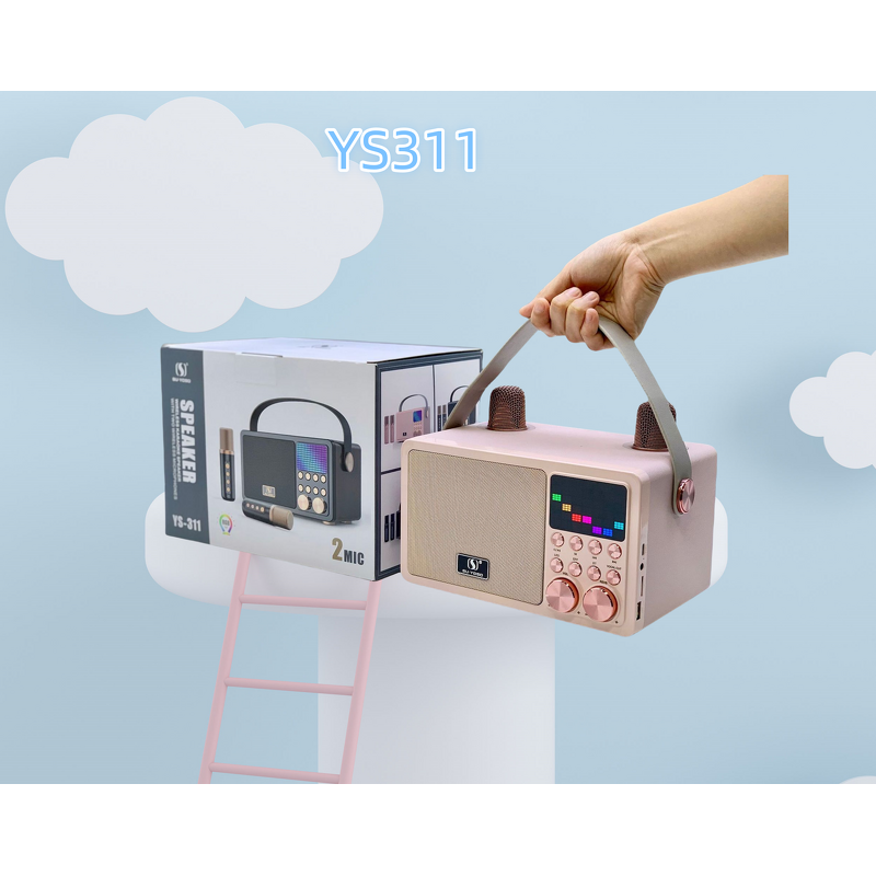 Outdoor Microphone Speaker Factory - High Quality Wholesale Portable DJ Ys311