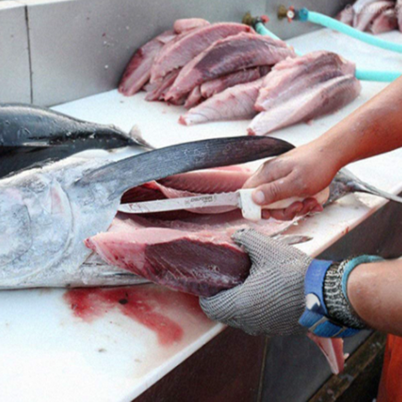 Metal Mesh Gloves Manufacturer - OEM A9 Anti-Cut Stainless Steel Kitchen Butcher