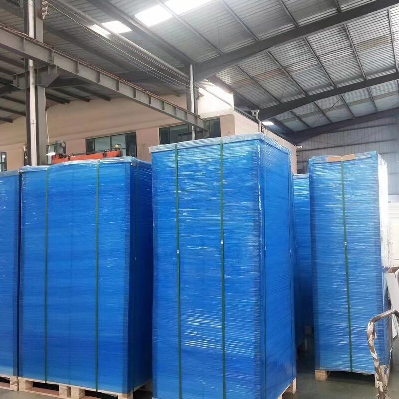 Cleanroom Floor Mat Factory - Supplier 26''*45'' Dust Sticky Mat Manufacturer