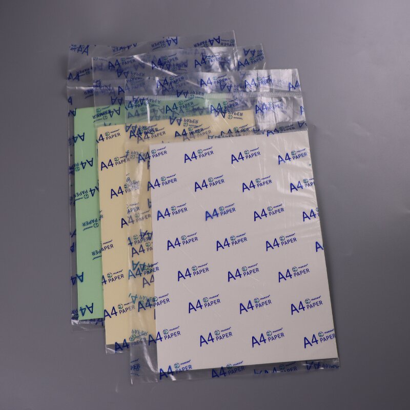 Cleanroom Copy Paper Factory - A4 Size Dustproof Printing Color Dust-free Workshop