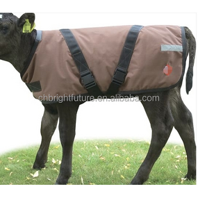 Cattle Blanket Factory - OEM Waterproof New Born Cow Warm Vest Oxford Fabric