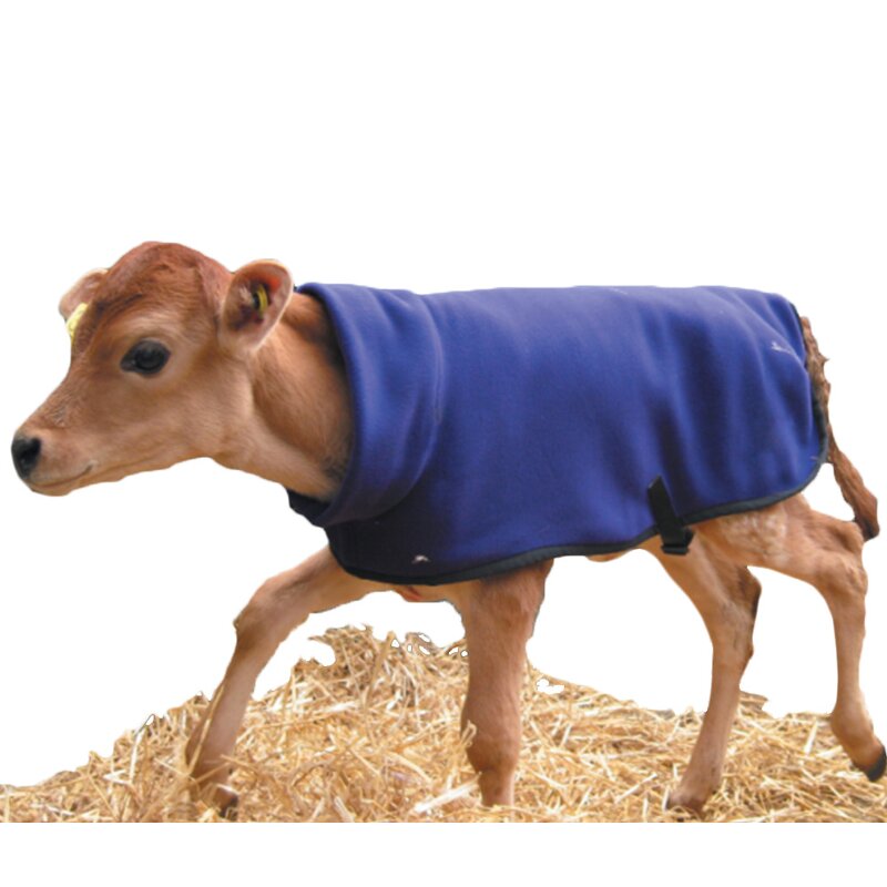 Cow Jacket Factory - OEM Cow Calf Vest Warm Clothes Dairy Farm Cold Protection