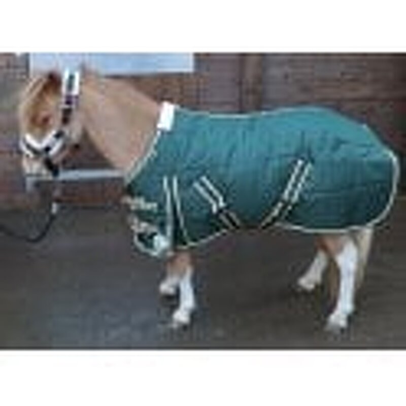 Equestrian Horse Rug Manufacturer - OEM Hot Sale Customized Quilting Stable Blanket