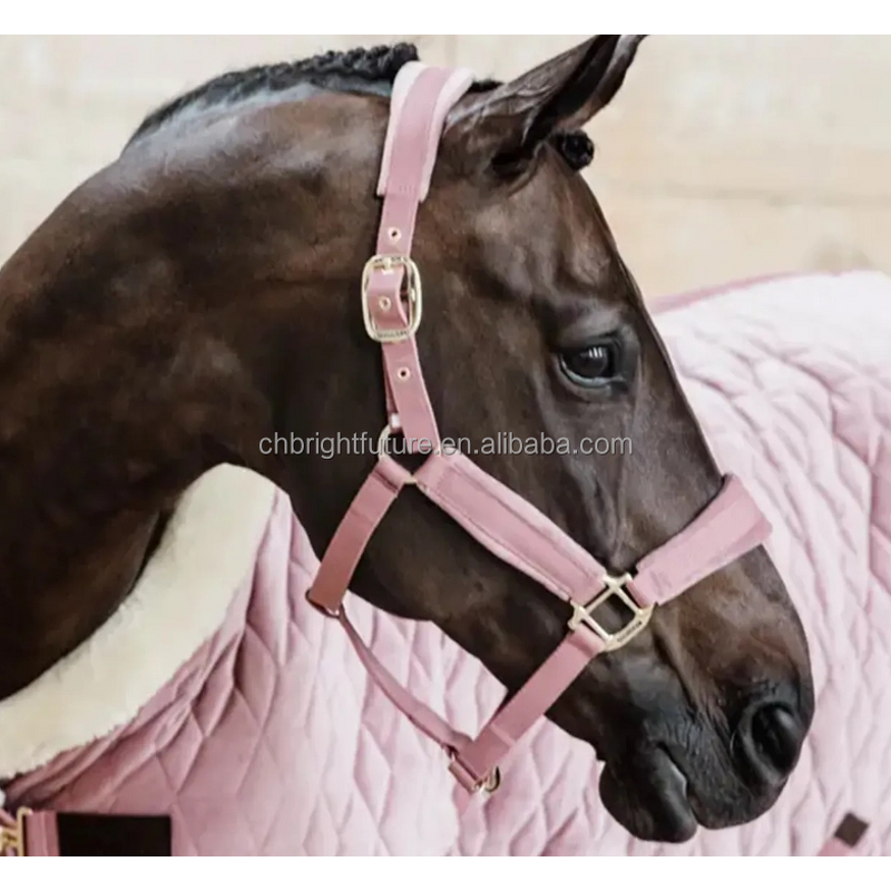 Horse Halter Factory - OEM Custom Logo Genuine Leather Headstall High Waist