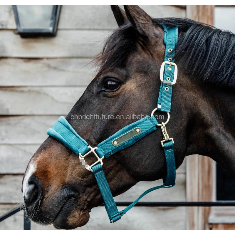 Horse Halter Factory - OEM Custom Logo Genuine Leather Headstall High Waist