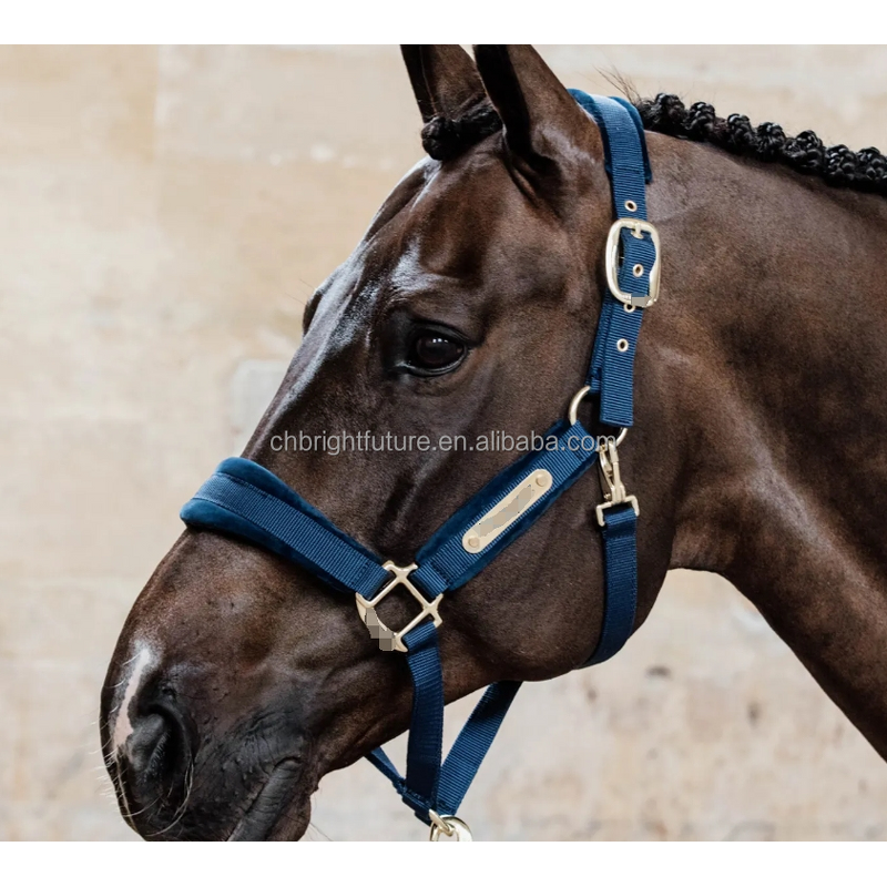 Horse Halter Factory - OEM Custom Logo Genuine Leather Headstall High Waist