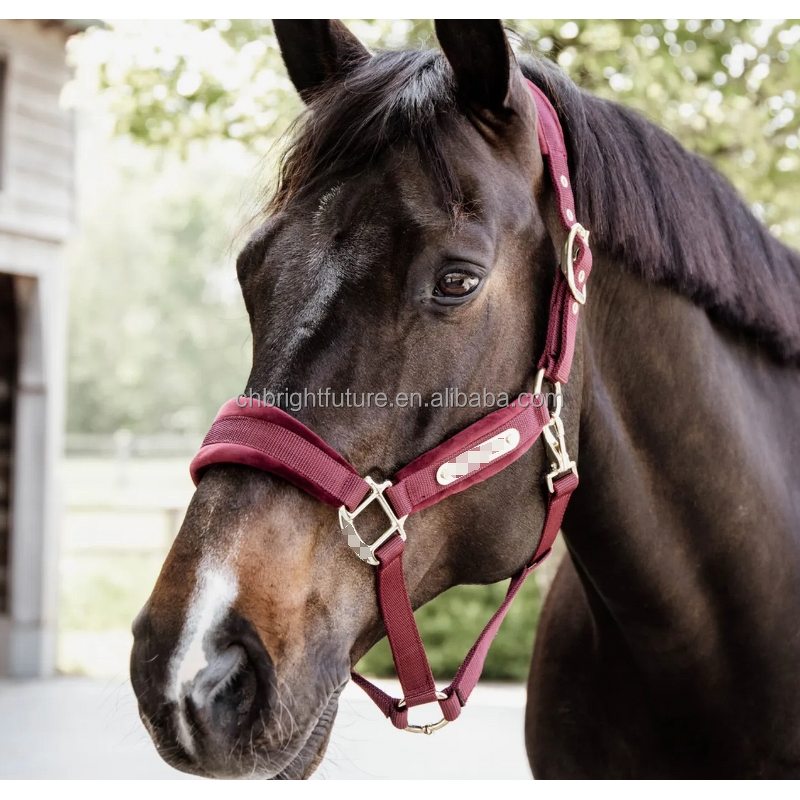 Horse Halter Factory - OEM Custom Logo Genuine Leather Headstall High Waist
