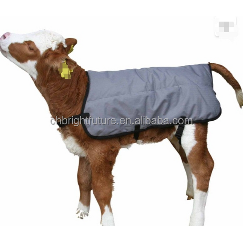 Calf Covers Manufacturer - OEM Great Farm New Product High-Quality Winter Coat
