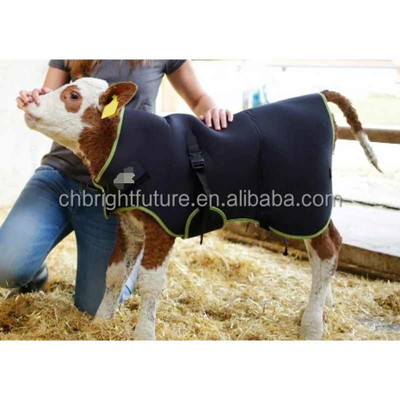 Calf Clothes Manufacturer - OEM Animal Husbandry Waterproof Windproof Warm Coat