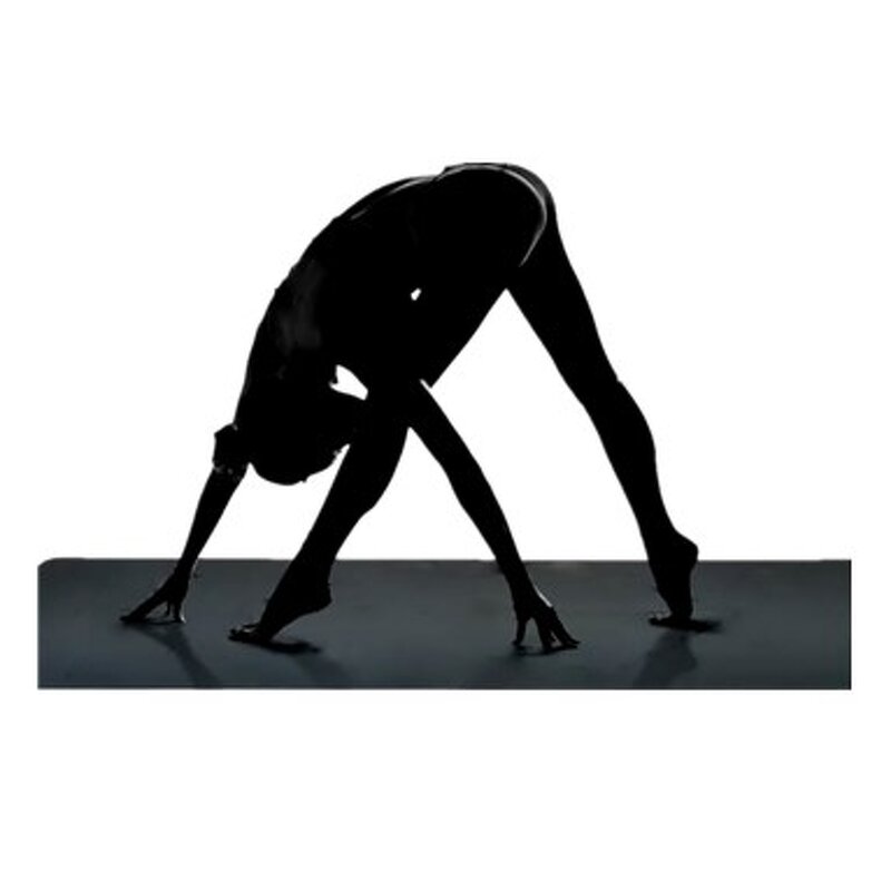 Conductive Yoga Mat Factory - OEM Factory Direct Universal Grounded Mats Exercise