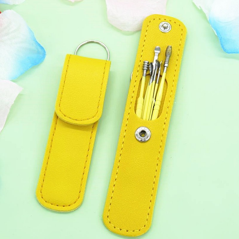 Reusable Portable Stainless Steel 6-piece Set Portable Spiral Leather Bag Ear Spoon Set Ear Picking Tool