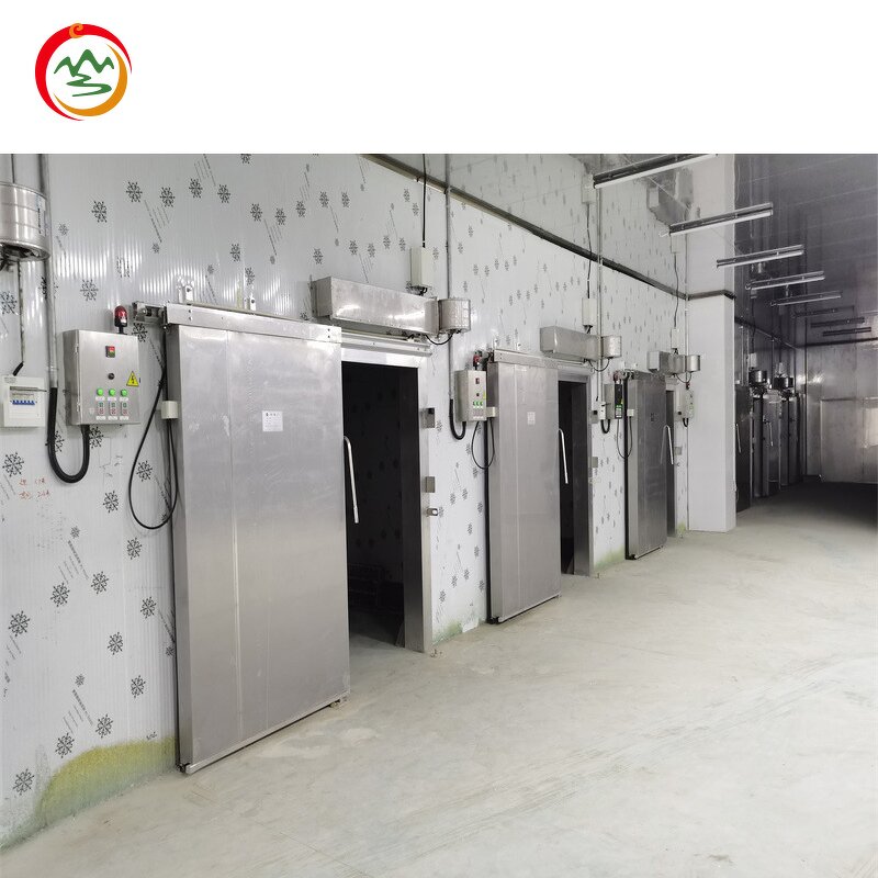 Cold Room Sliding Door Manufacturer - OEM 100mm for Cold Storage