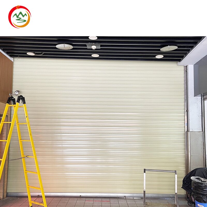 Electric Rolling Shutter Door Manufacturer - OEM Modern Design Aluminum Alloy Security Residential