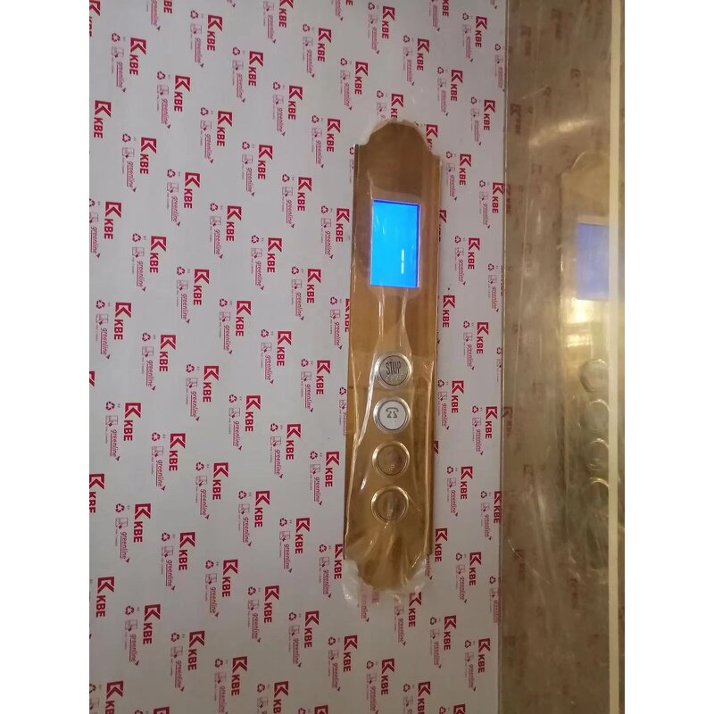 Hydraulic Lift Elevator Manufacturer - OEM 4 Floor 400kg Modern Remote Control Villa