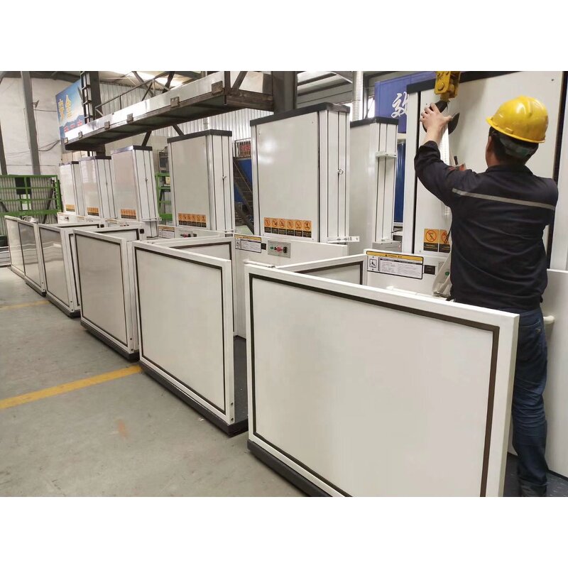 Outdoor Platform Lift Manufacturer - OEM 2 Floor 3m 250kg Handicap Lift