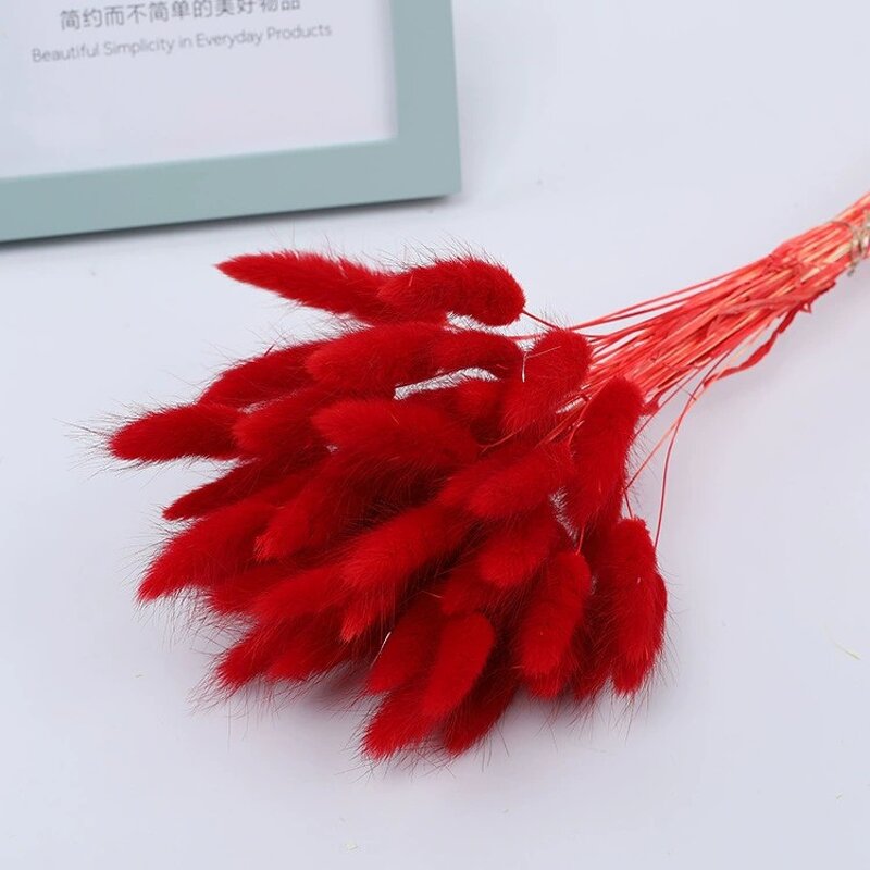 Dried Bunny Tail Grass Factory - OEM Elegant Natural for Wedding Party Christmas Valentine's