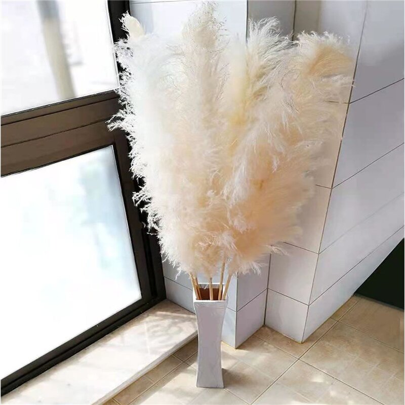 Preserved Pampas Grass Manufacturer - OEM Hot Selling White Real Nature Dried Tall Flower