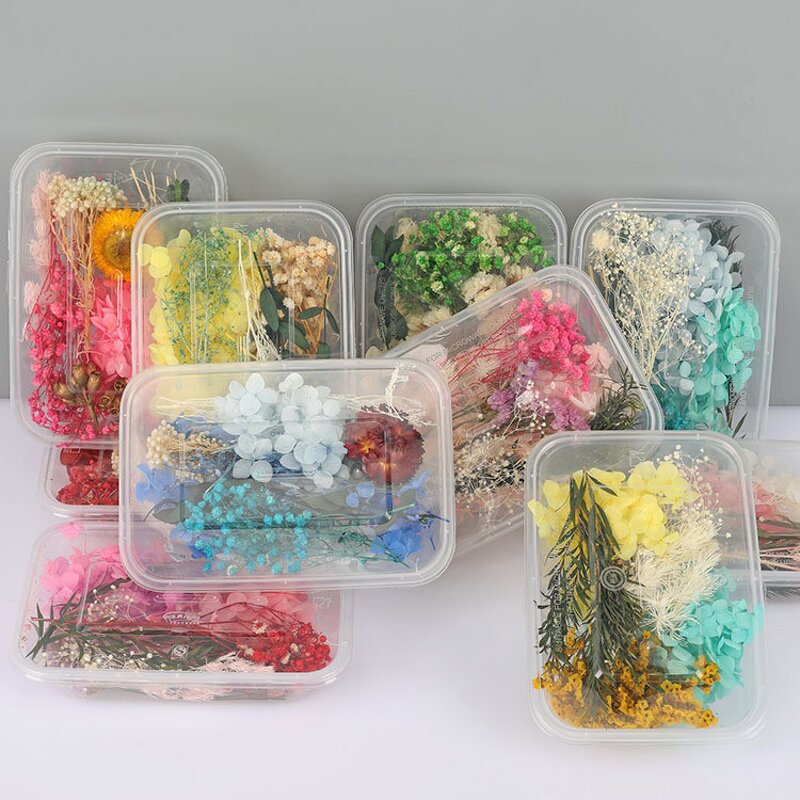 Mixed Dried Flower Kit Manufacturer - OEM Natural Vibrant Color Eternal for DIY Resin Craft