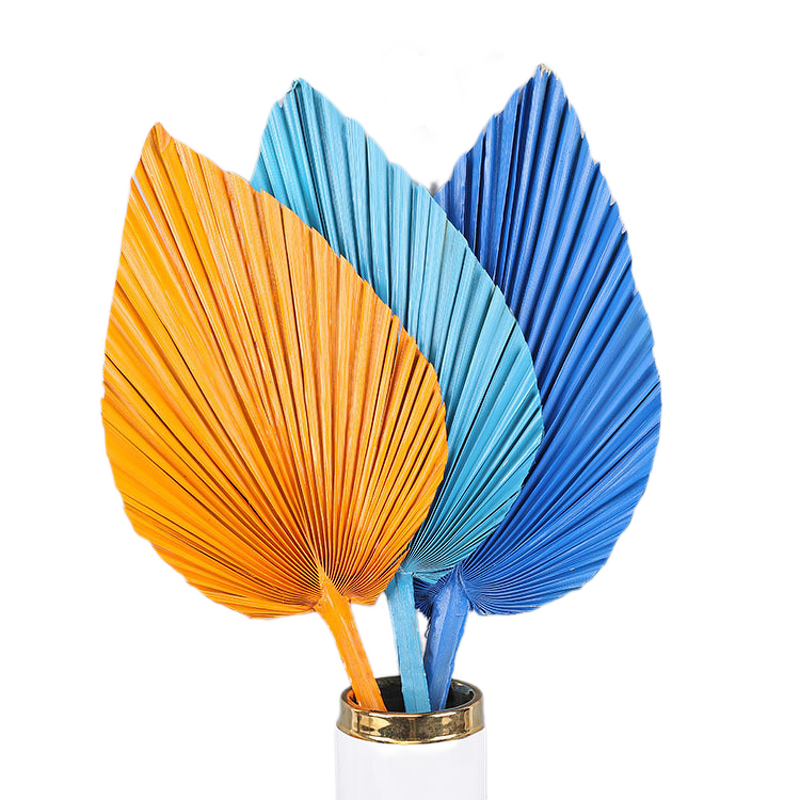 Artificial Fan Leaf Factory - OEM Wholesale Colorful Preserved Natural Large Dry Pink