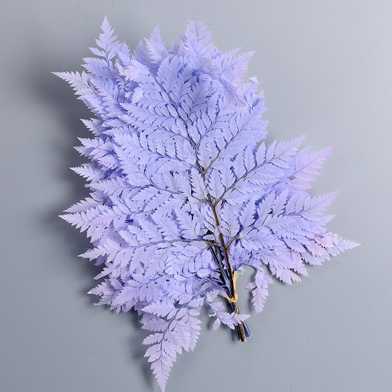 Dried Straw Flower Manufacturer - OEM High Quality Natural Fern Leaf for Wedding Table