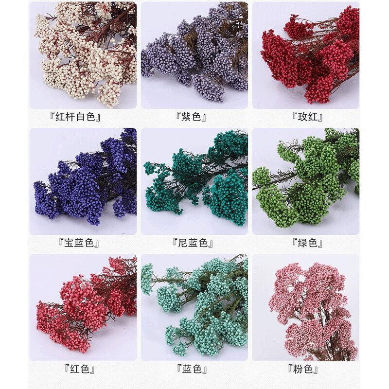 Preserved Rice Flower Manufacturer - OEM Best Selling Wholesale Colorful for Party Decoration