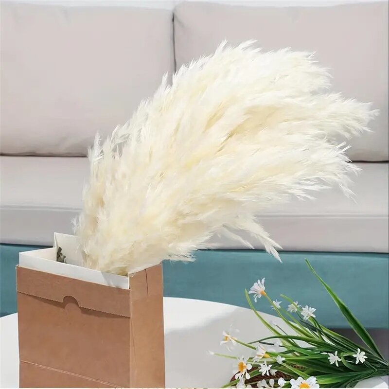 Dried Pampas Grass Factory - OEM Natural Fluffy for Wedding Home Decor Centerpiece Display